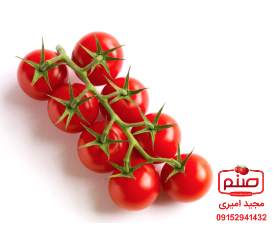 قیمت انواع گوجه زیتونی اصفهان