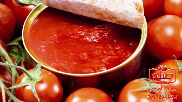 برترین فروشگاه رب گوجه فرنگی 700 گرمی