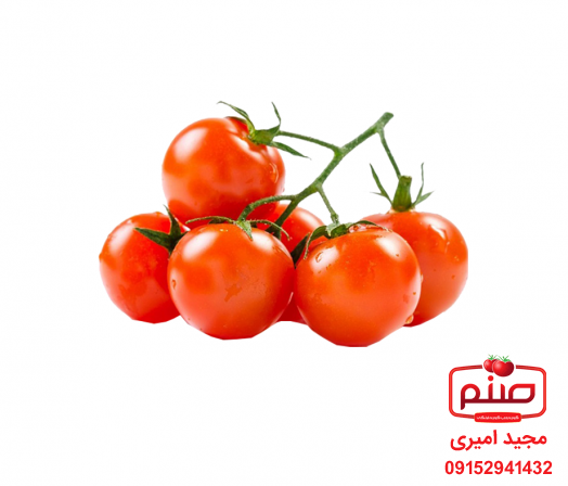 دانستنی هایی درباره گوجه فرنگی