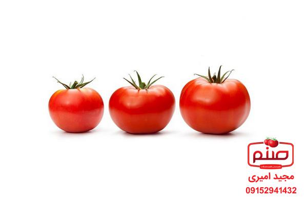 شرکت پخش گوجه گیلاسی صادراتی