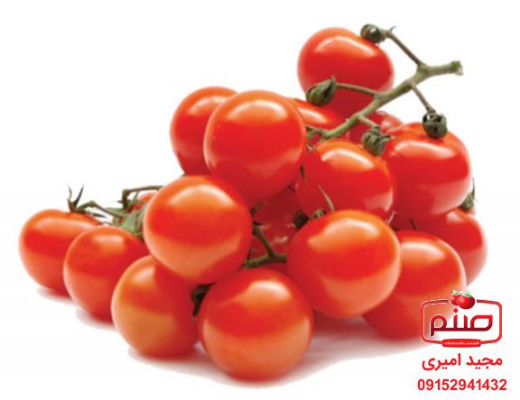 درمان واریس با گوجه فرنگی