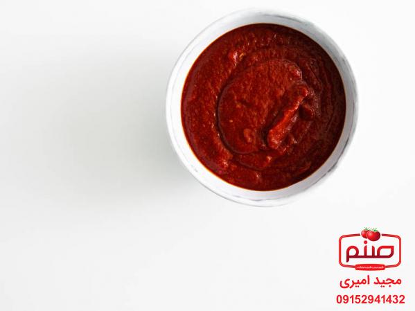 همه چیز درباره کارایی رب گوجه