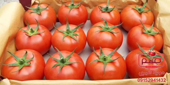 درباره خواص گوجه فرنگی چه می دانید؟