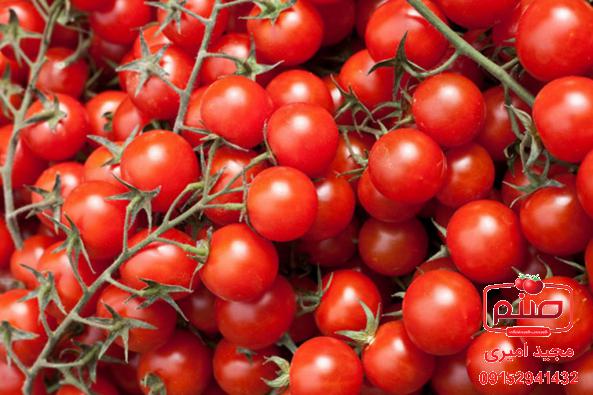 گوجه فرنگی جایگزین طبیعی آسپرین