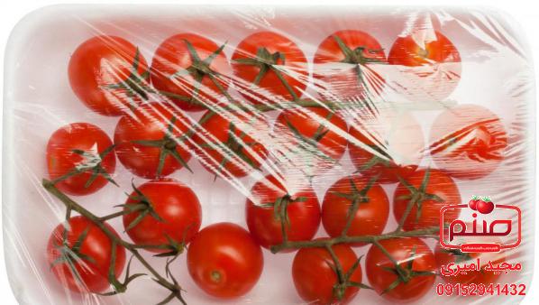 صادرکننده برترین گوجه چری زیتونی