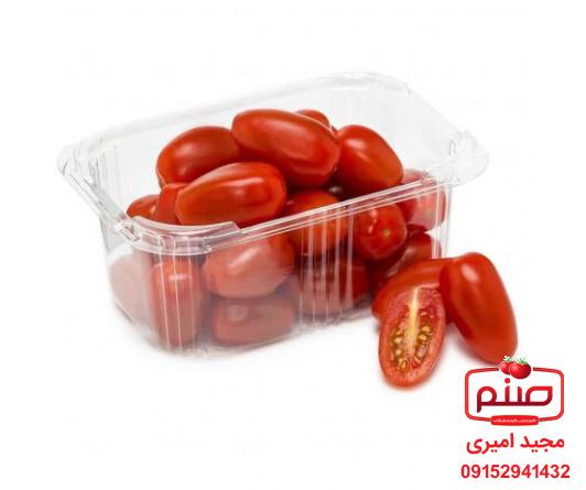 توزیع کنندگان  گوجه گیلاسی بسته بندی
