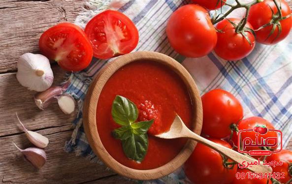 برترین فروشگاه عرضه کننده رب گوجه فرنگی ارزان