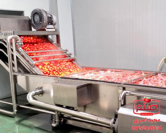 شیوه تولید رب گوجه فرنگی در کارخانه