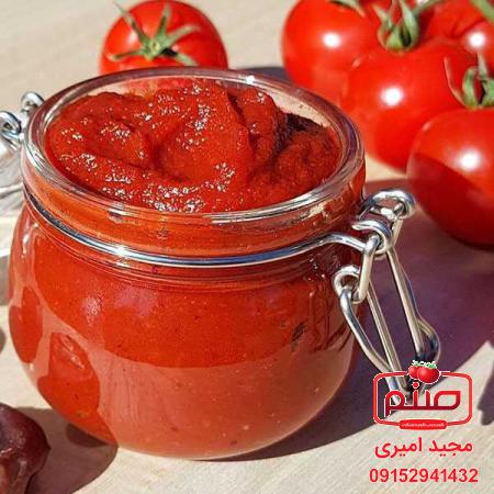 تولید انبوه رب گوجه فرنگی ارگانیک در تهران